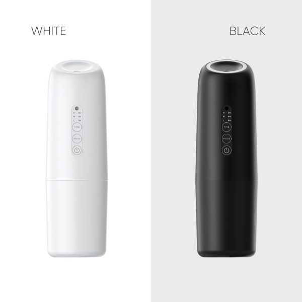 D1 - Image 2