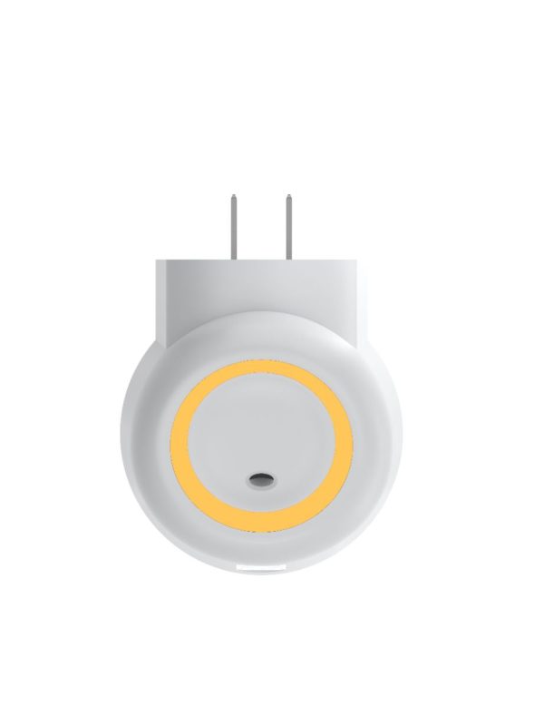 D1 - Image 4